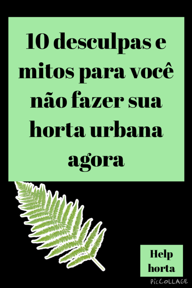 10 desculpas e mitos para você não fazer sua horta em casa