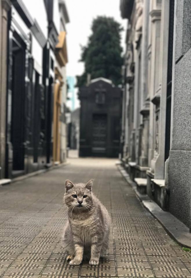 Por que adoramos o bairro Recoleta em Buenos Aires