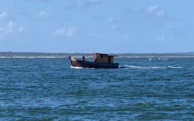 Qual melhor época do ano para visitar Ilhéus ?