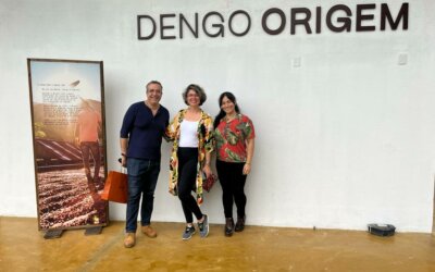 ROTA DO CHOCOLATE- Visitando a Dengo Origem e Fazenda Conduru