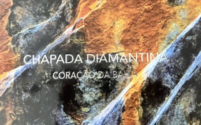 FOTOGRAFIA, temos aos montes